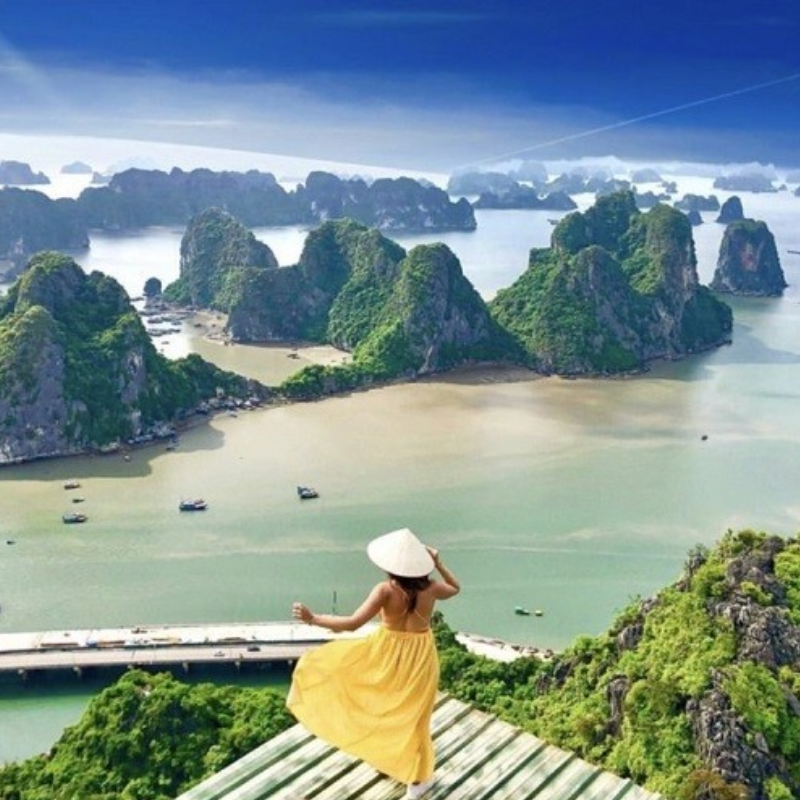 Tour Guide Hạ Long