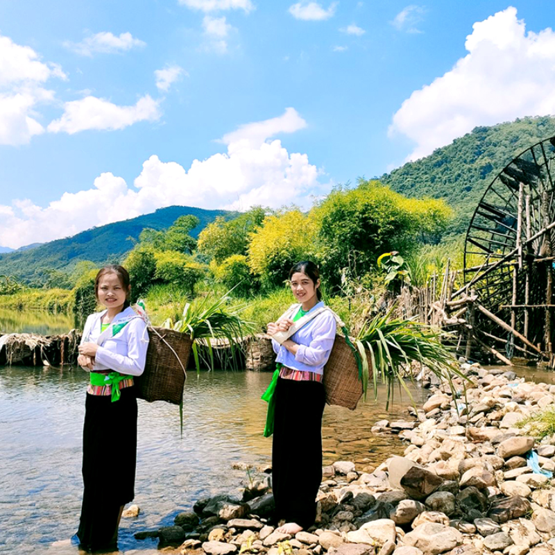 Tour Guide Phú Thọ