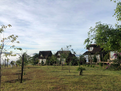 Bình Yên House Homestay