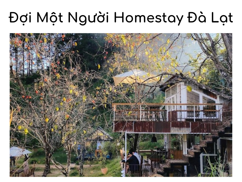 Đợi Một Người Homestay Đà Lạt