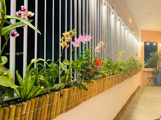 Tôi có thể đặt dịch vụ thuê xe máy tại homestay không?