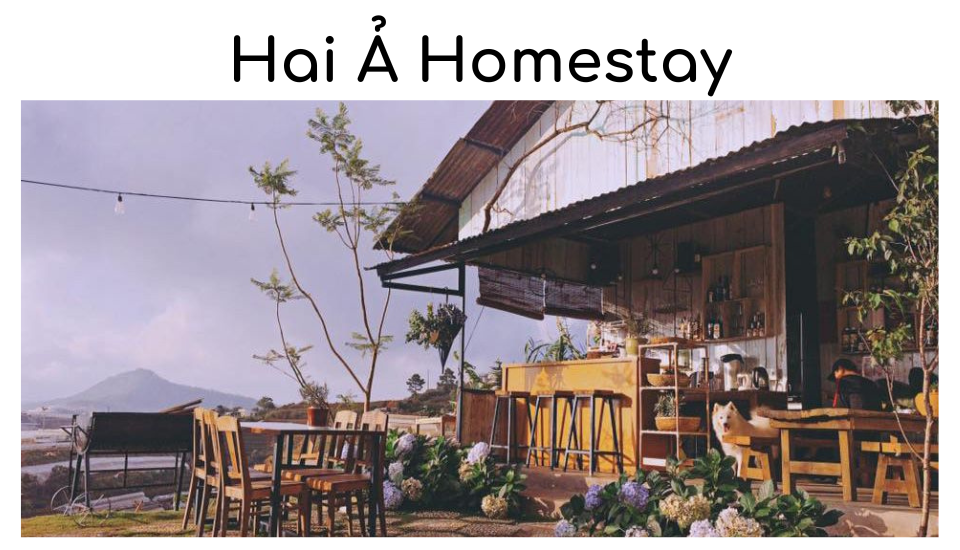 Hai Ả Homestay