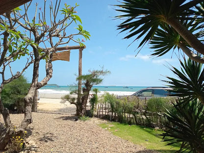 Phu Yen Homestay - Long Thuy Song Ngu House