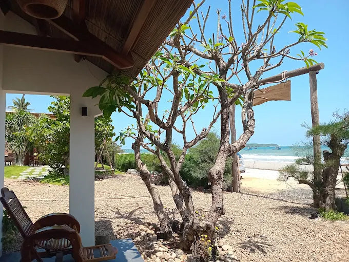 Phu Yen Homestay - Long Thuy Song Ngu House