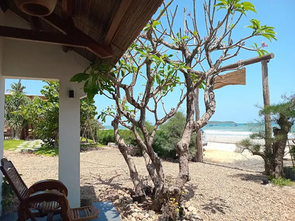 Phu Yen Homestay - Long Thuy Song Ngu House