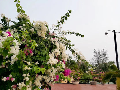 Ivory Phu Yen Hotel