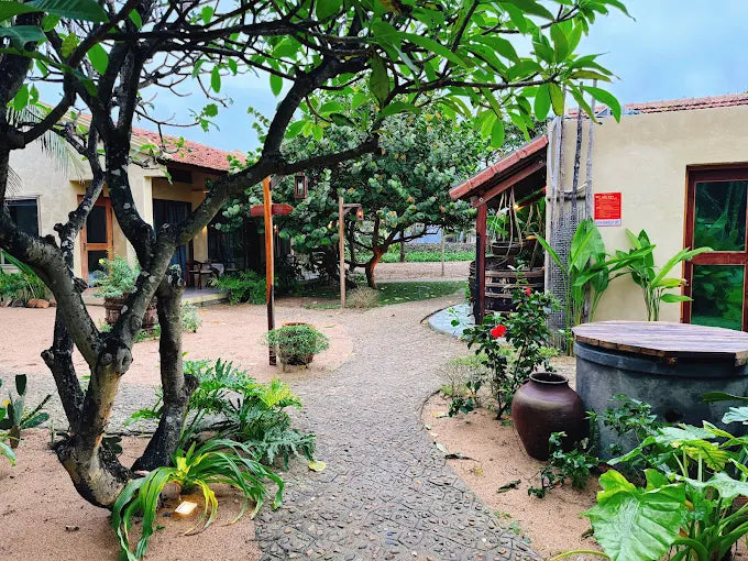 Tại Sao Nên Đồng Hành Cùng HDV Local Tại Hòa Hiệp?