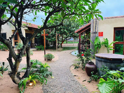 Tại Sao Nên Đồng Hành Cùng HDV Local Tại Hòa Hiệp?