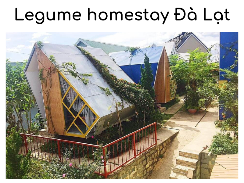 Legume homestay Đà Lạt