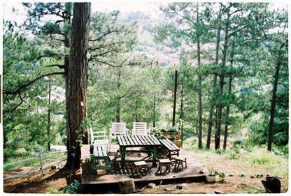 Homestay Moonrise Garden Dalat