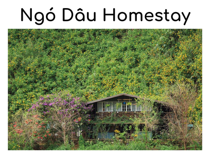 Ngó Dâu homestay