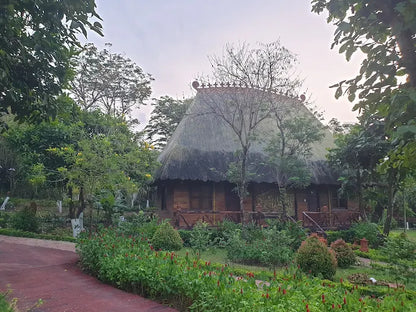 Nui Thom Ecolodge Phú Yên: Nghỉ Dưỡng Xanh &amp; Thuê HDV Bản Địa