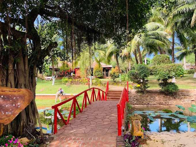 So Sánh: Trải Nghiệm Cùng HDV Local vs. Tour Truyền Thống
