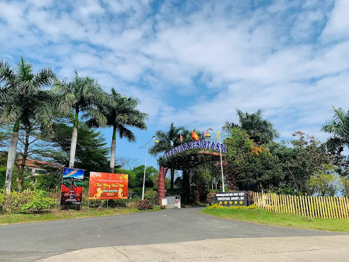 Vì Sao Thương Hiệu HDV Local Được Tin Cậy?