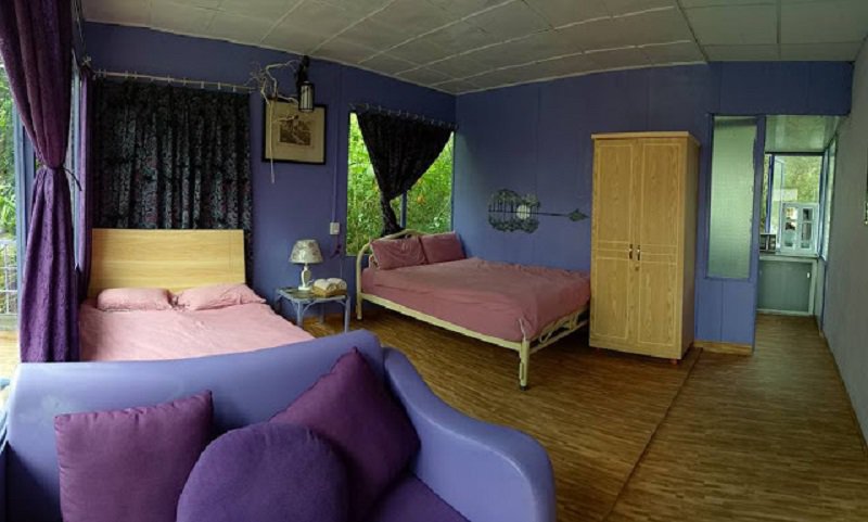 Pine Hill Homestay