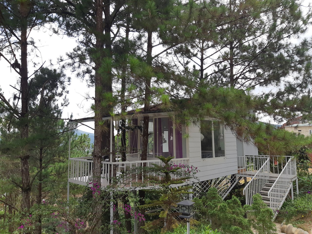 Pine Hill Homestay