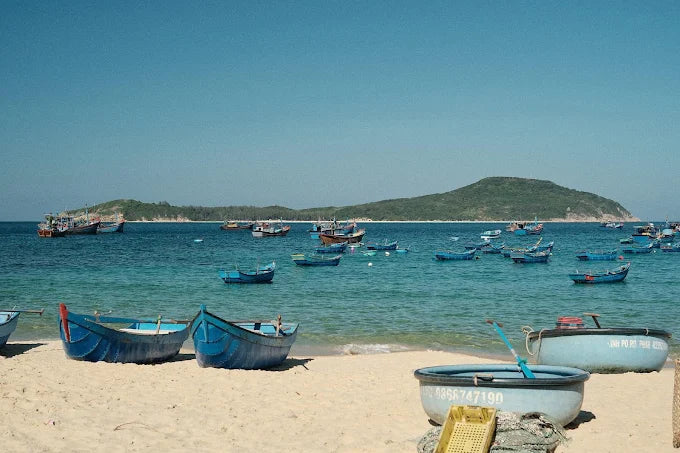 Robinson Homestay - Cù Lao Mái Nhà là gì?