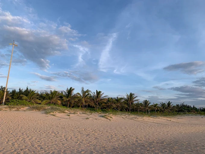 Sao Mai Beach Resort: Thiên Đường Nghỉ Dưỡng Bên Bờ Biển An Phú