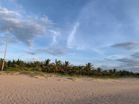 Sao Mai Beach Resort: Thiên Đường Nghỉ Dưỡng Bên Bờ Biển An Phú