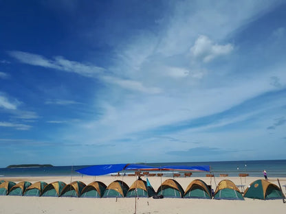 Sao Mai Beach Resort là gì?