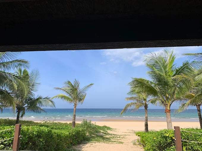 Thông Tin Cốt Lõi Về Sao Mai Beach Resort Phú Yên