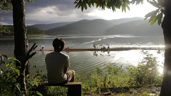 The Lake House Đà Lạt Homestay