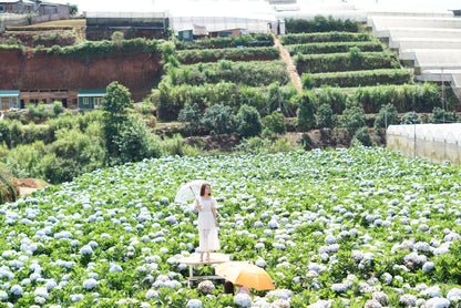 Tour Đà Lạt 4 Ngày 3 Đêm