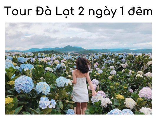 Tour Đà Lạt 2 ngày 1 đêm