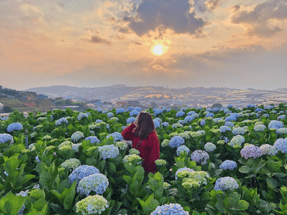 Tour Đà Lạt 2 ngày 1 đêm