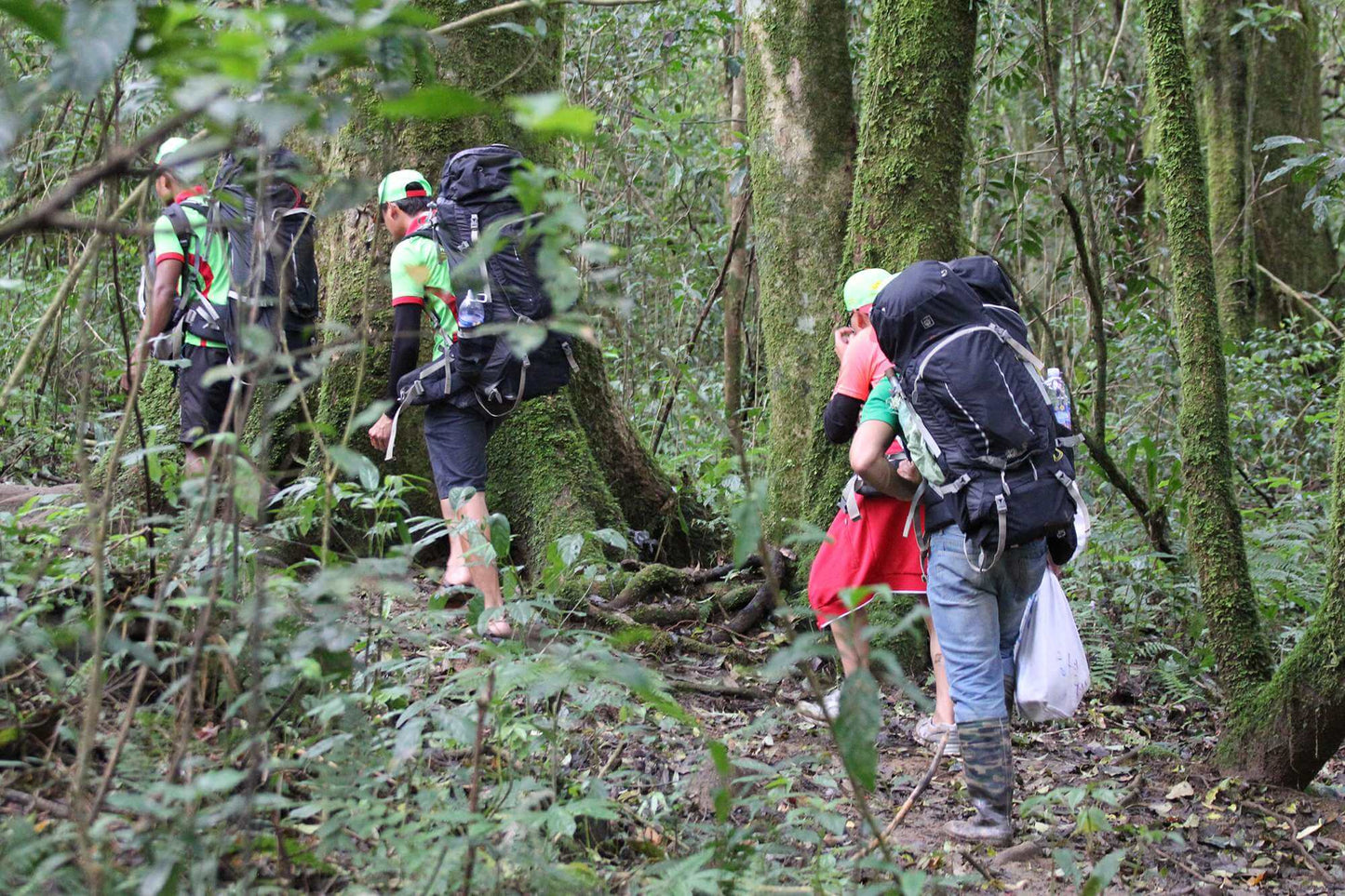 Trekking Tour Guide Tại Phú Quốc