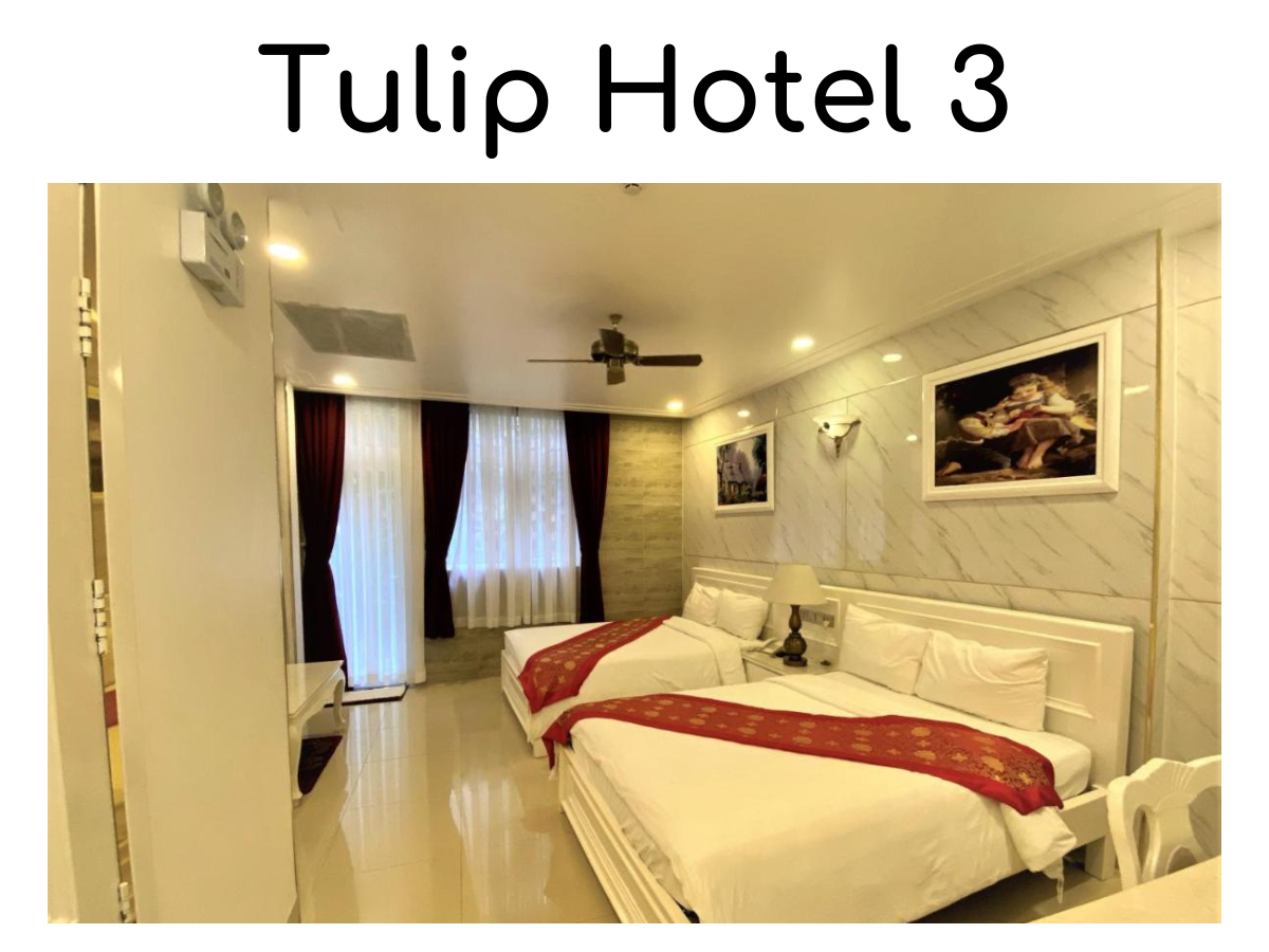 Tulip Hotel 3