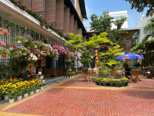 Daisy House Tuy Hòa