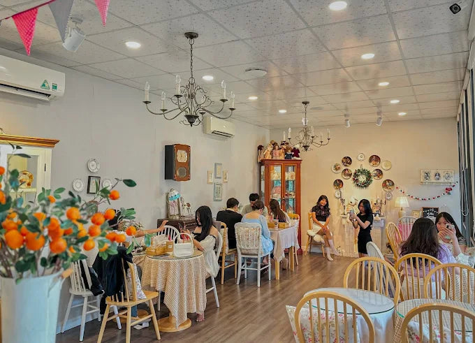 Daisy House Tuy Hoa
