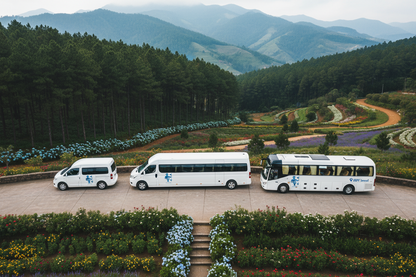 Dịch vụ Limousine đi tour săn mây là gì?