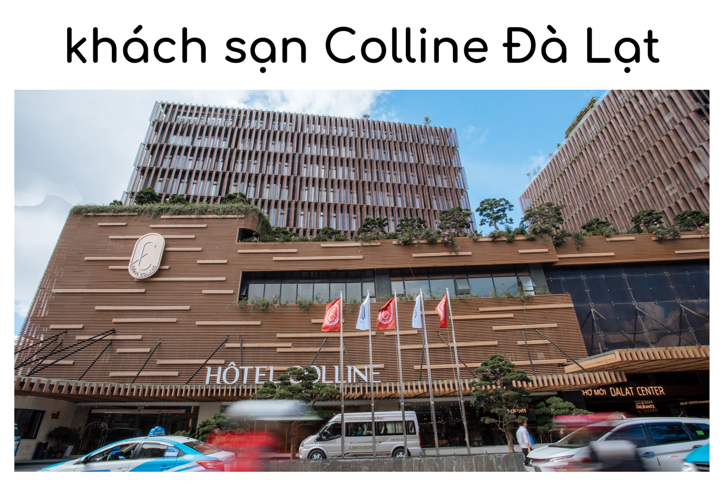 Khách Sạn Colline Đà Lạt