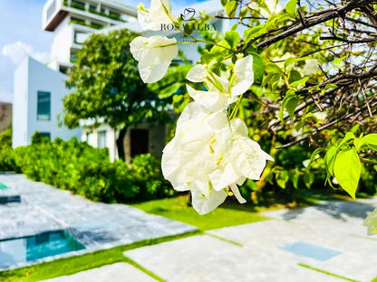 Rosa Alba Resort & Villas Tuy Hoa