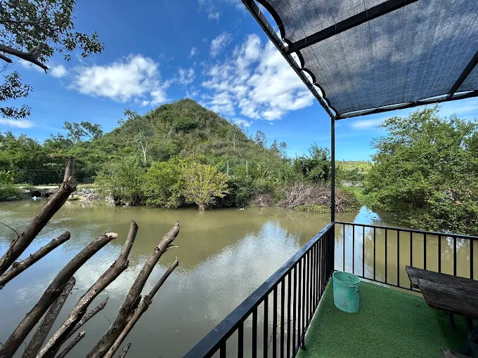 Tại Sao Nên Đồng Hành Cùng HDV Local Tại SATURDAY Homestay?