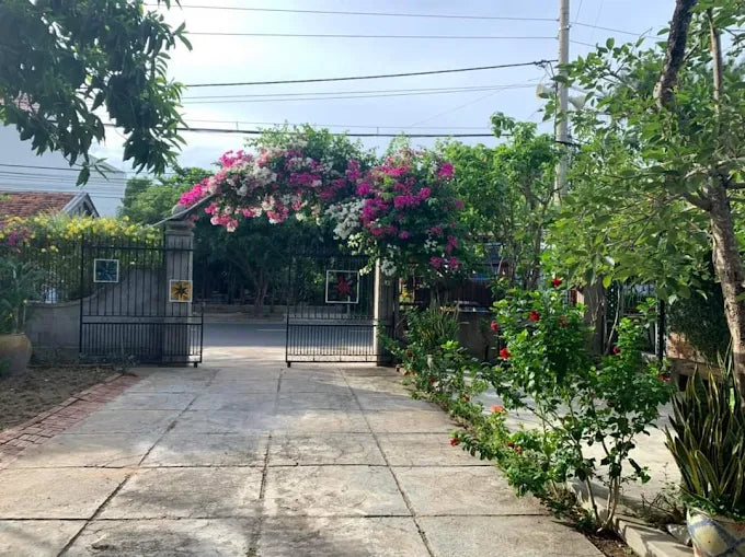 Trại Hoa Vàng Homestay – Góc Nhỏ Bình Yên Giữa Lòng Tuy Hòa