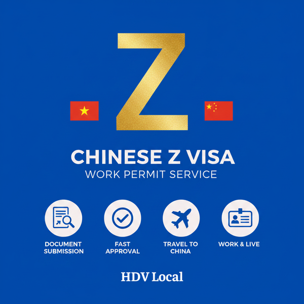 Visa Z - Infographic
